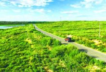 2020年7月2日国内外时政日报-时政一点通