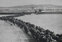 2020年7月3日国内外时政日报-时政一点通